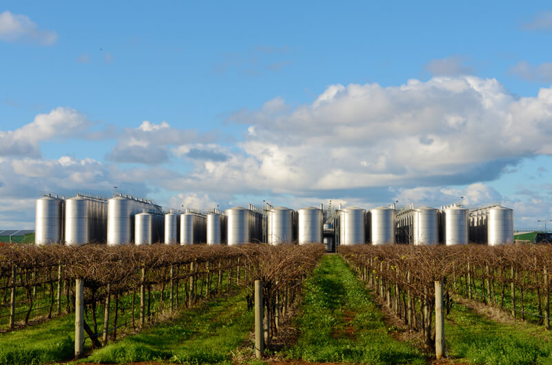 Griffith Tours New South Wales - photo of a vineyard with large row of stainless steel tanks in the background.