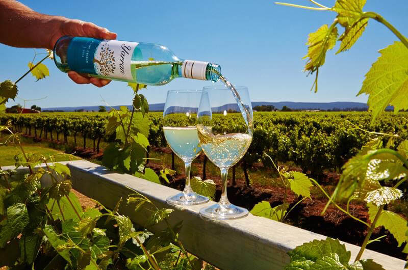 Griffith Tours New South Wales - photo of a man pouring white wine into two glasses with the vineyard a the backdrop.